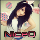n1ceQ
